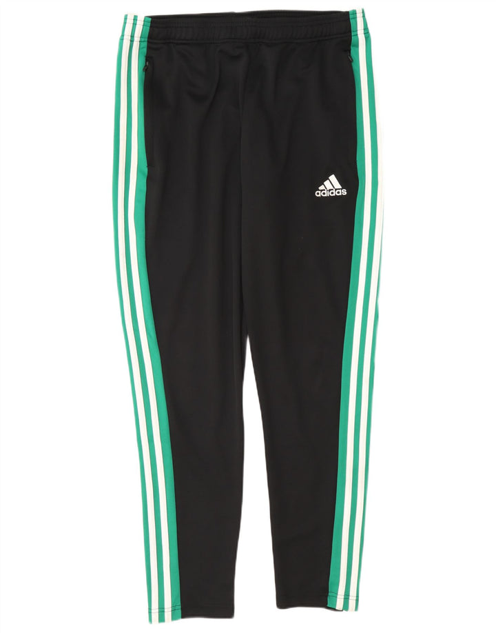 Adidas Herre Climalite træningsdragt Bukser Large Black Colourblock Polyester