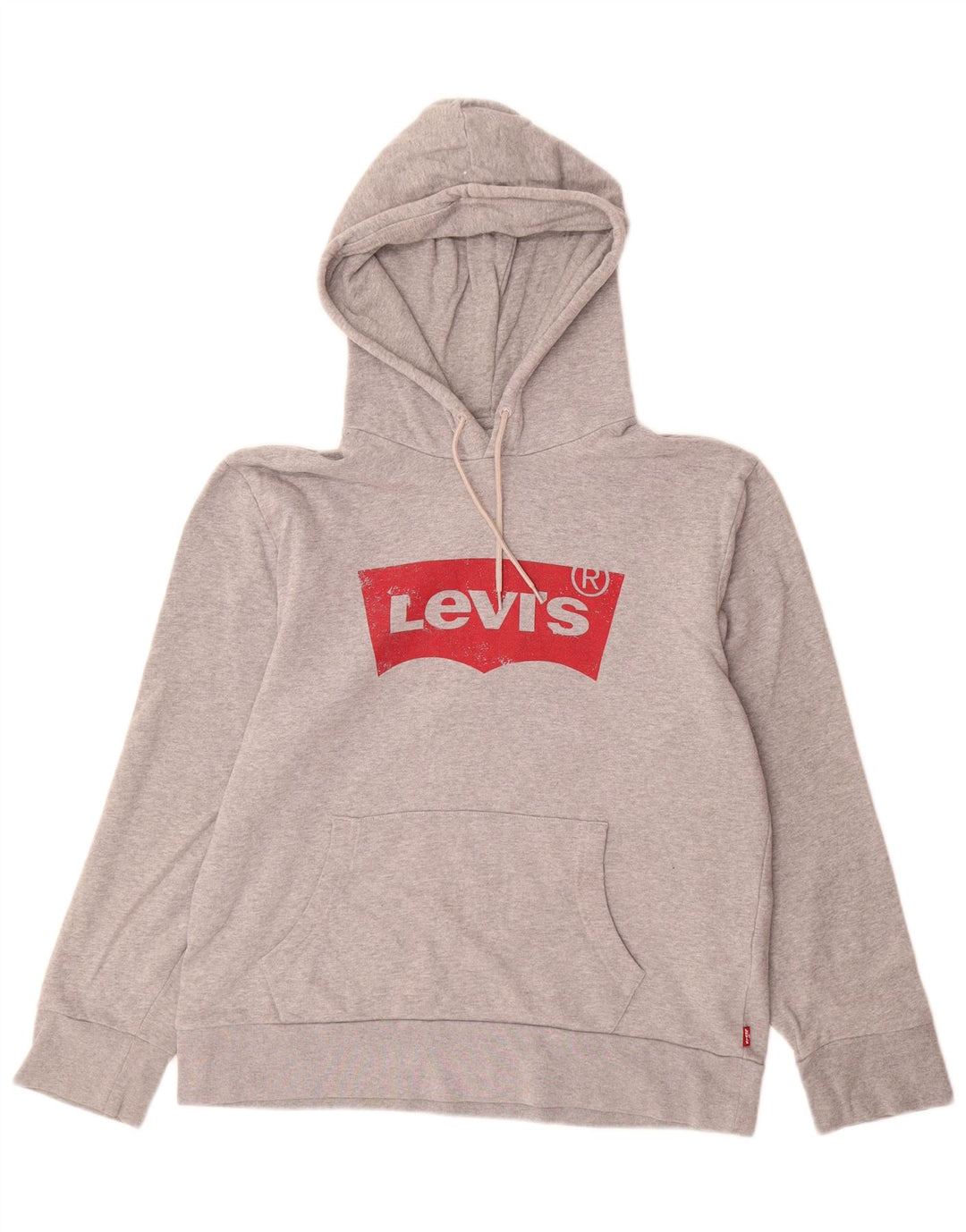 Męski sweter z kapturem i grafiką LEVI'S, średnioszary, bawełniany