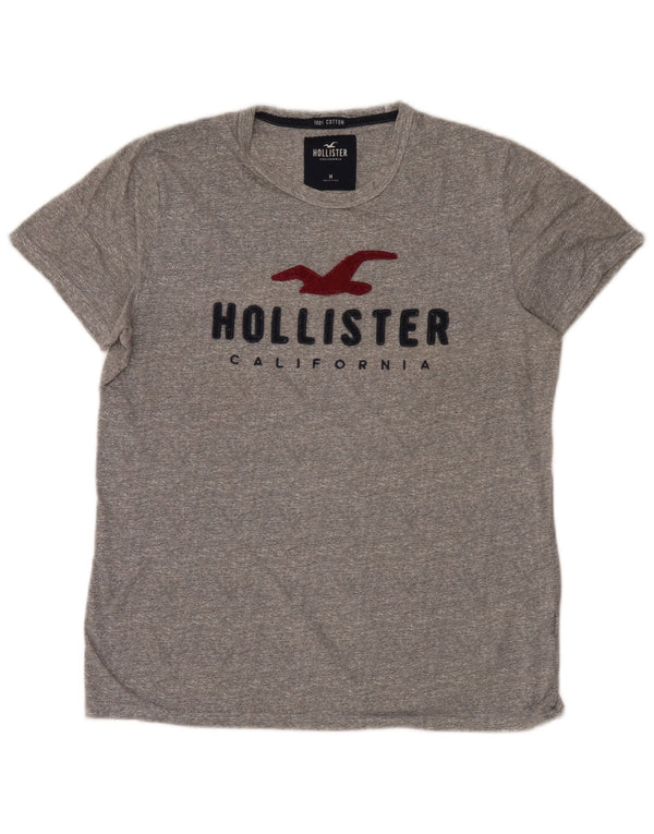 Ανδρικό γραφικό μπλουζάκι Hollister Top Μεσαίο γκρι βαμβακερό