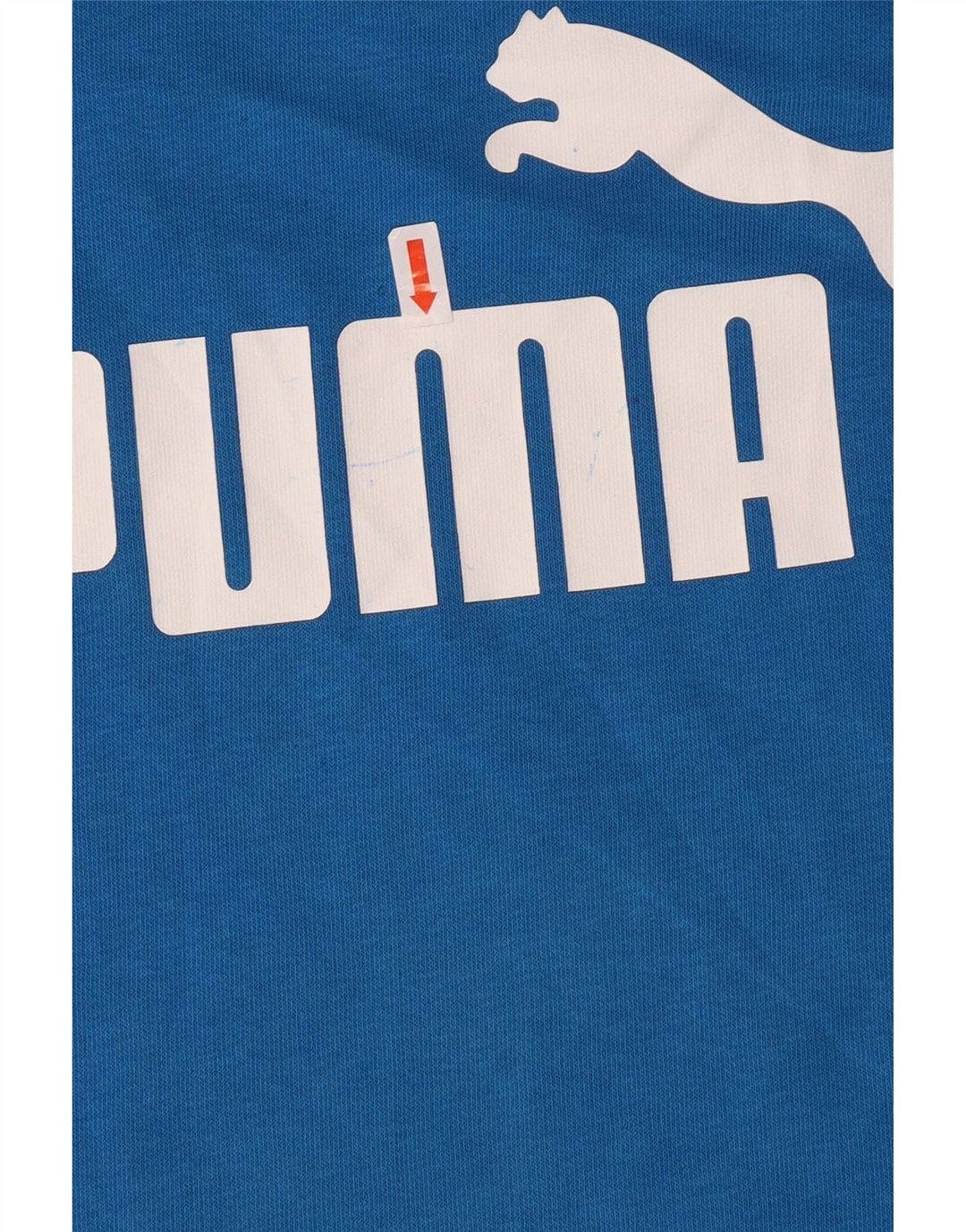 Puma Boys Graphic Sweatshirt Jumper 11-12 Years Blue