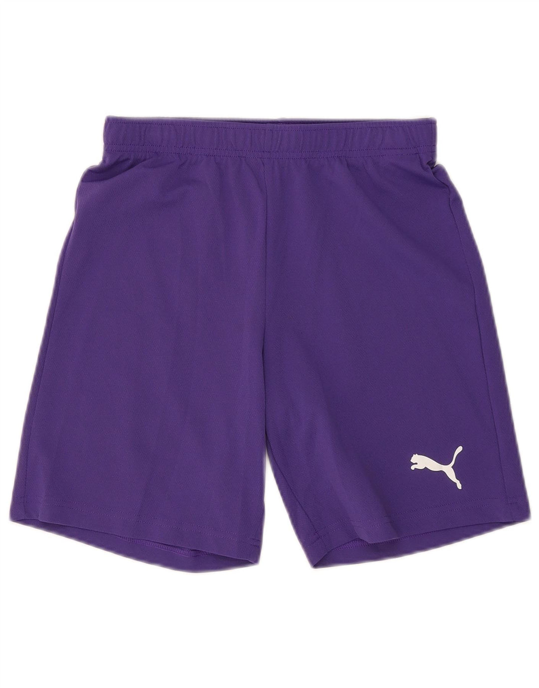 Puma Mens Sport Shorts Small Purple Polyester