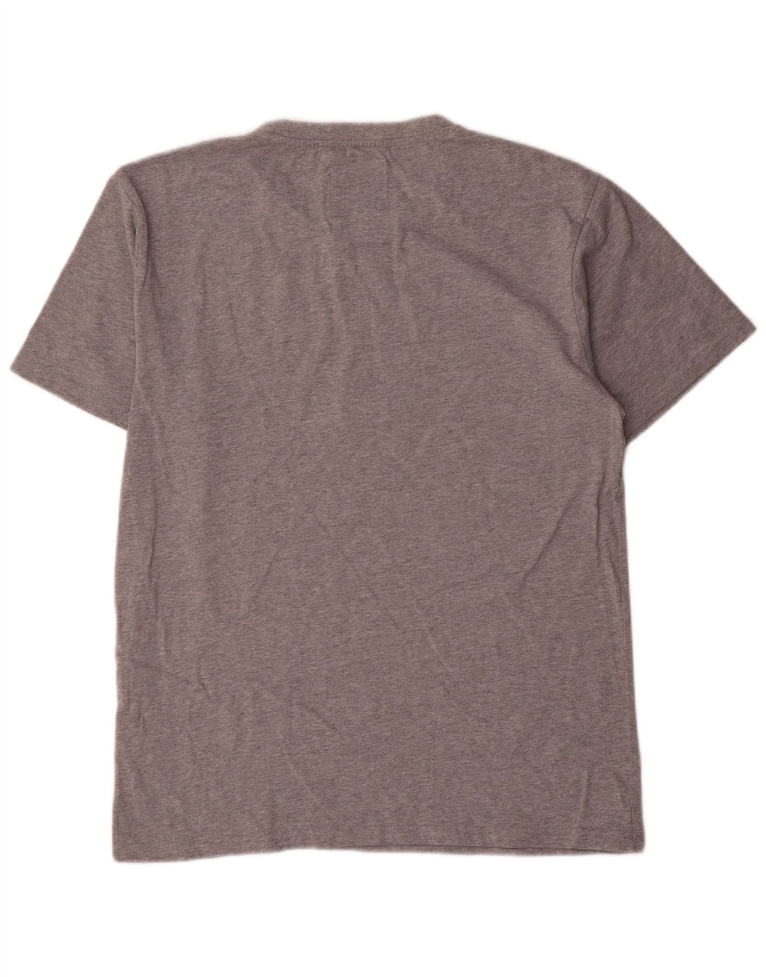 Champion Mens Graphic T-Shirt Top Large Grey Cotton