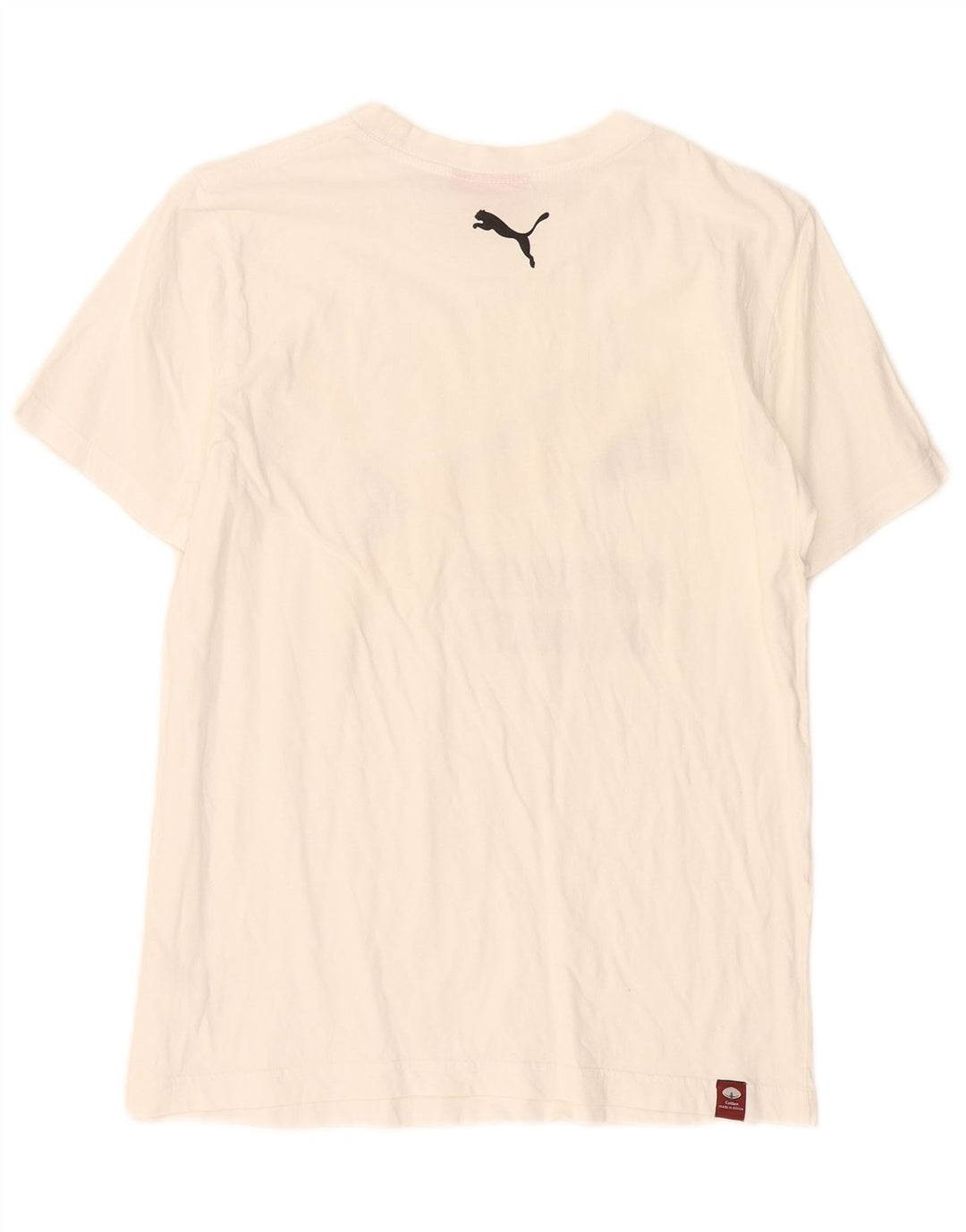 Ανδρικό γραφικό T-Shirt Puma Top Small White