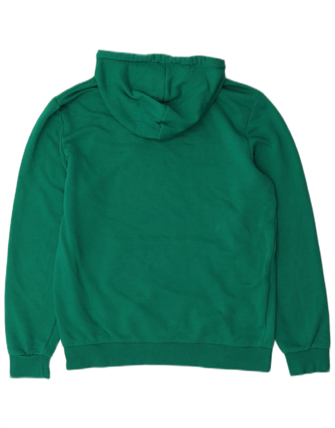 PUMA Mens Graphic Hoodie Jumper Medium Green