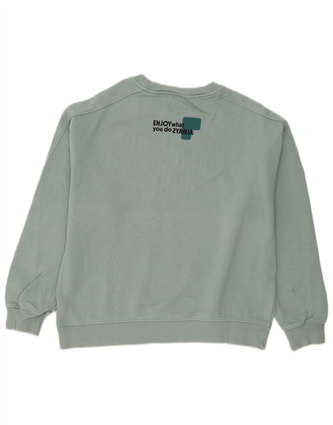 Zara Boys Graphic Sweatshirt Jumper 13-14 Years Blue Cotton