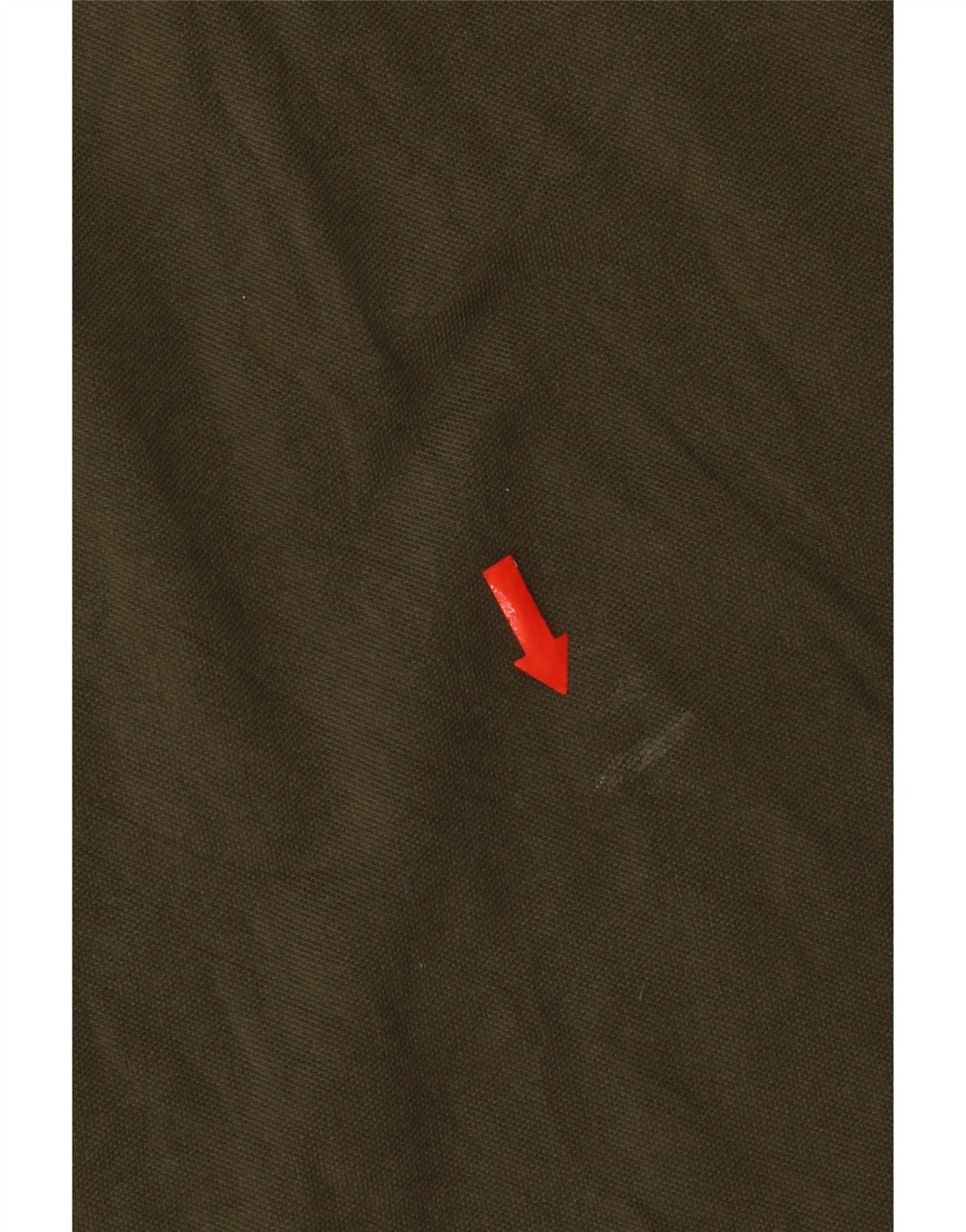 Polo da uomo Lotto Small in cotone kaki