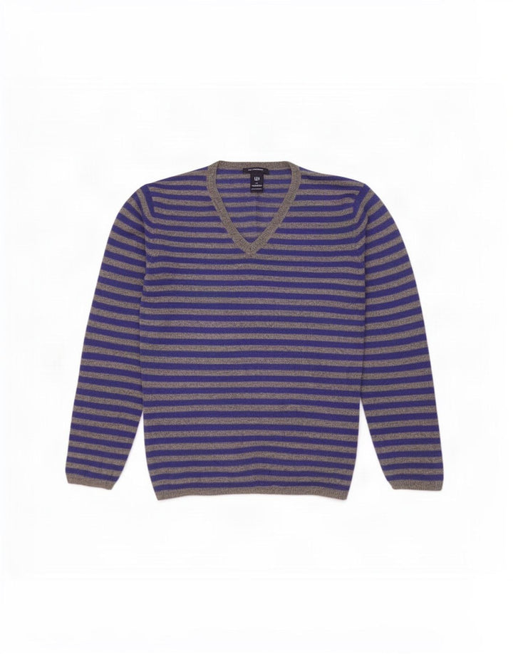 Gap Mens V-Neck Jumper Sweater Large Blue Striped Lambswool