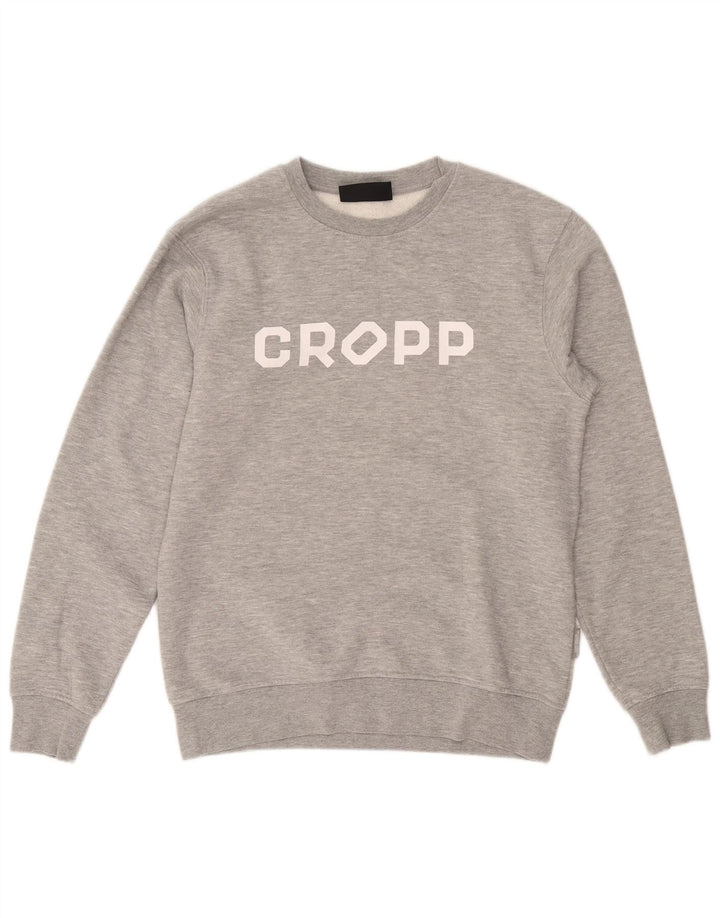 Cropp Herre grafisk Regular Fit Sweatshirt Jumper lille grå bomuld