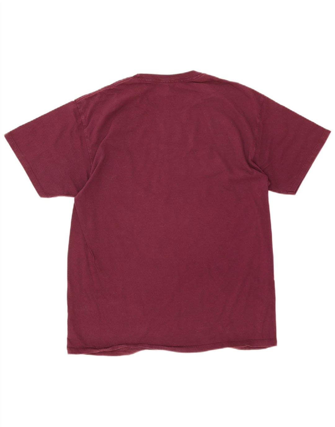 Champion Herre T-Shirt Top Large Burgundy