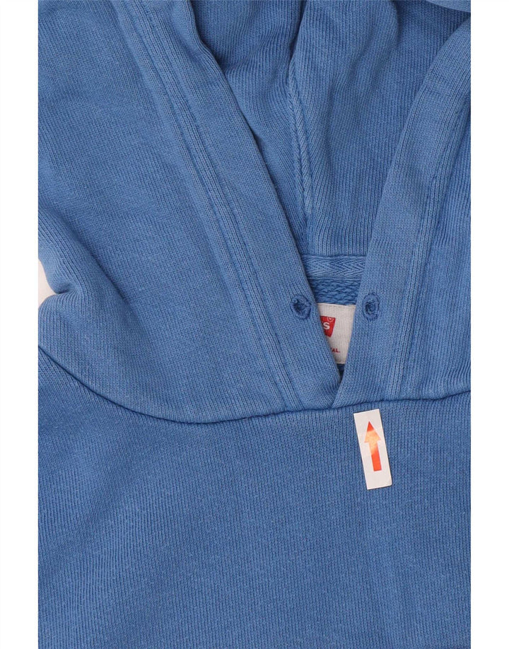 Ανδρικό γραφικό κουκούλα Levi's Small Blue