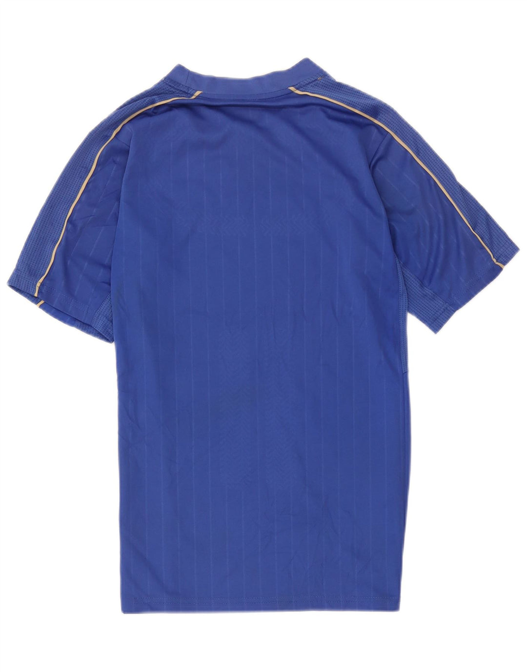T-shirt grafica da uomo Puma Italia Top blu medio in poliestere