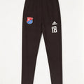 Pantaloni da tuta con grafica Adidas da uomo piccoli in poliestere nero
