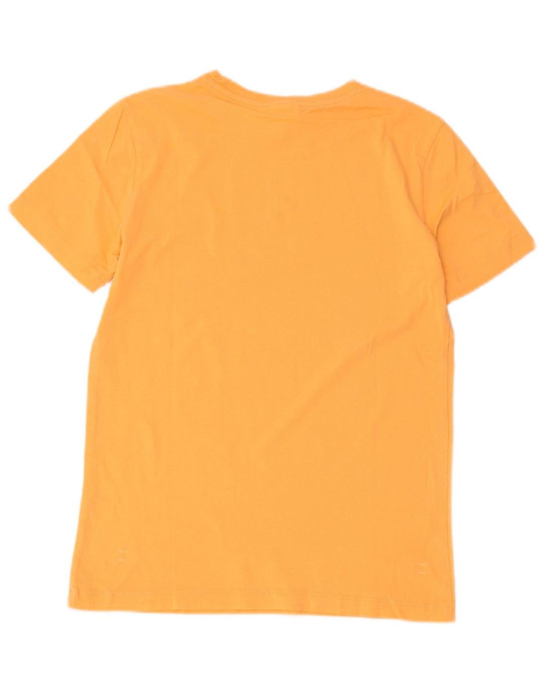 Champion Mens Graphic T-Shirt Top Small Orange
