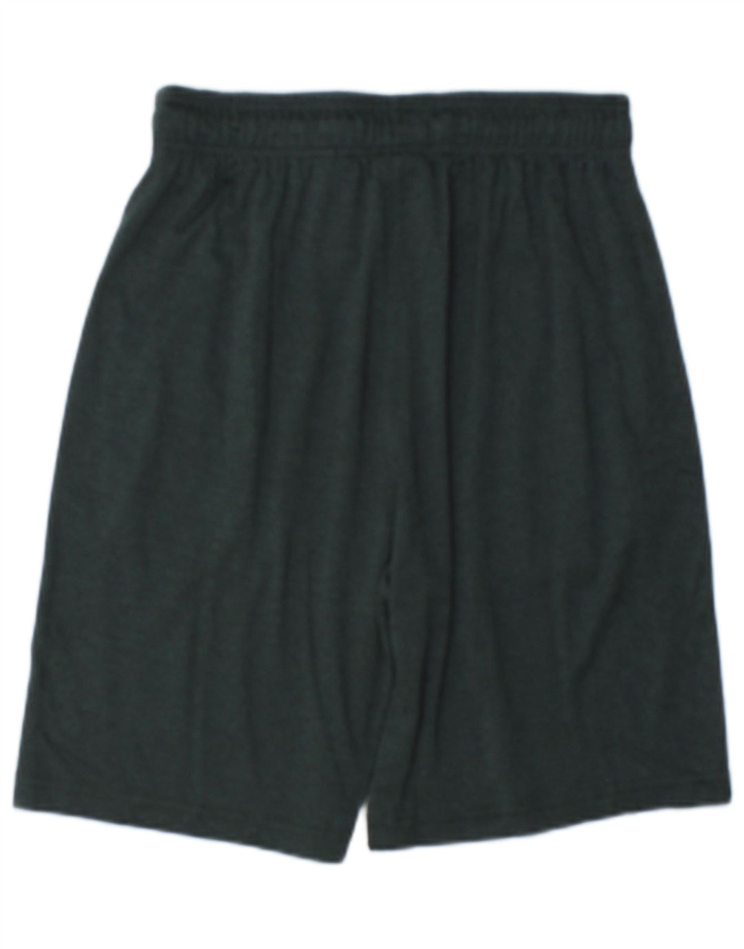 Reebok Mens Sport Shorts Small  Green Flecked Polyester