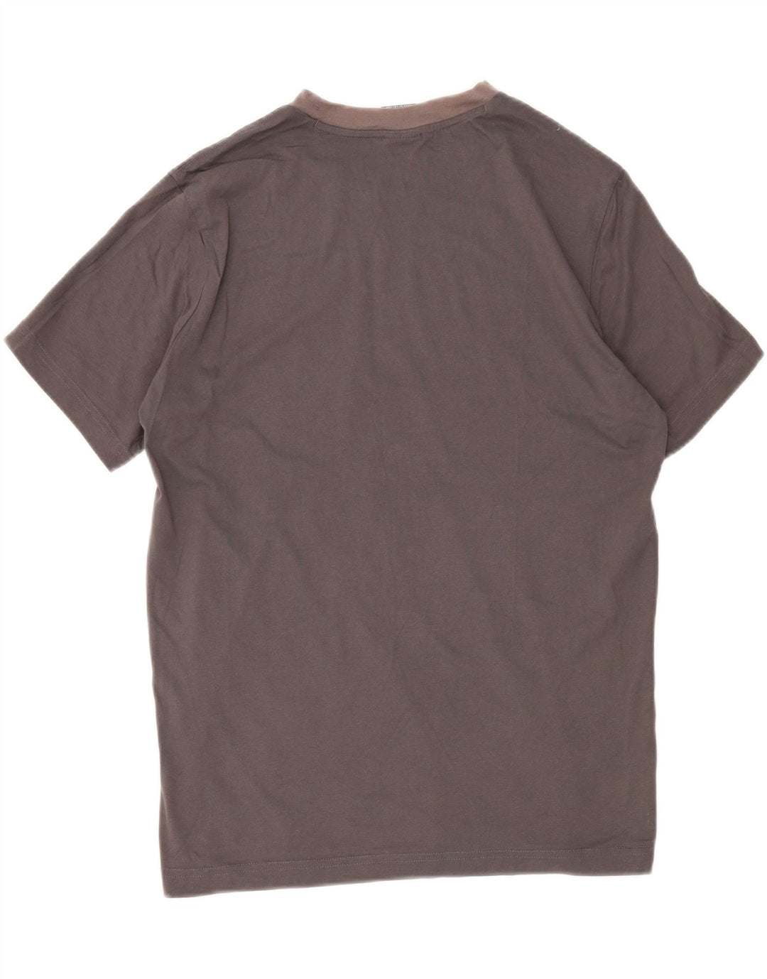 CHAMPION Mens Graphic T-Shirt Top Large Grey