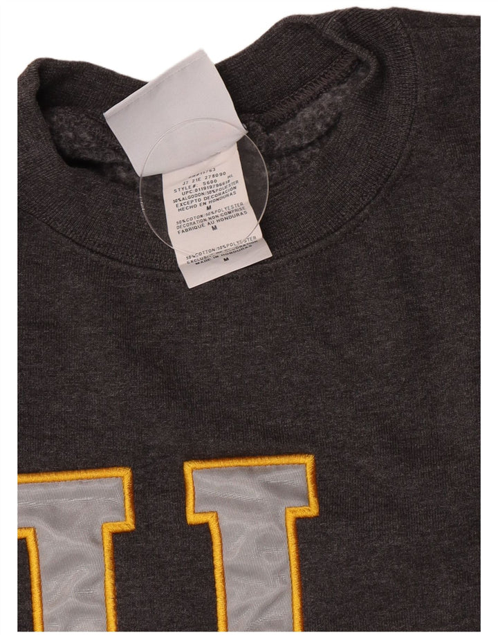 Champion Herre Grafisk Sweatshirt Jumper Medium Grå Bomuld