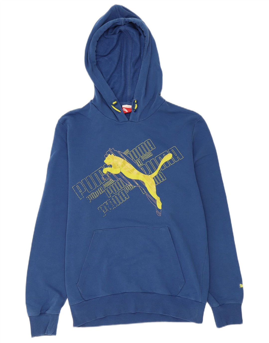 PUMA Mens Graphic Hoodie Jumper Small Blue