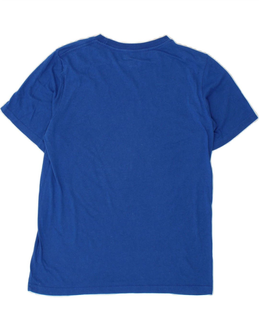 CHAMPION Boys Graphic T-Shirt Top 13-14 Years XL Blue Polyester Vintage Champion and Second-Hand Champion from Messina Hembry 