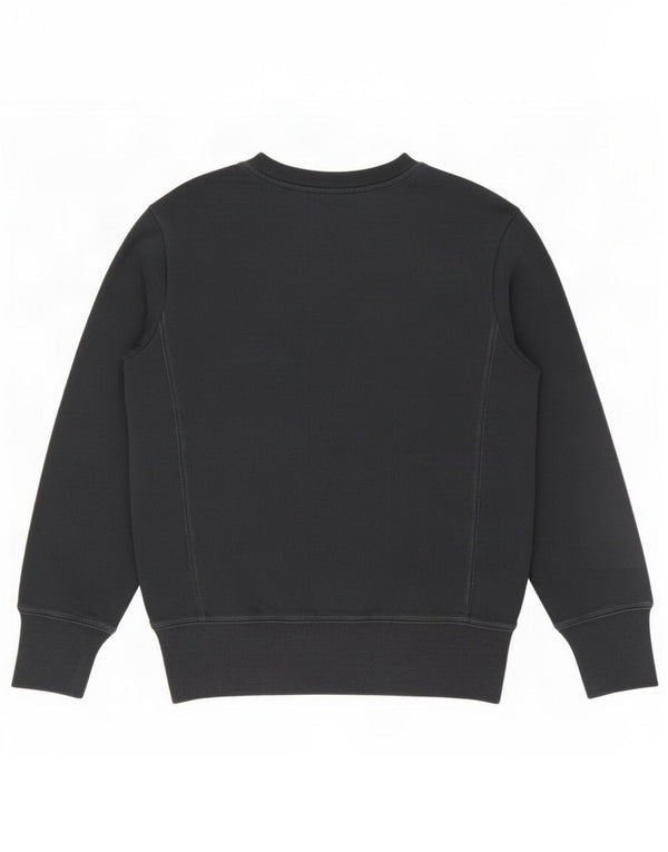 Champion Mens Sweatshirt Jumper Medium Navy Blue Cotton