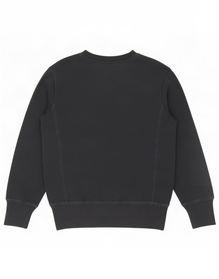 Champion Mens Sweatshirt Jumper Medium Navy Blue Cotton