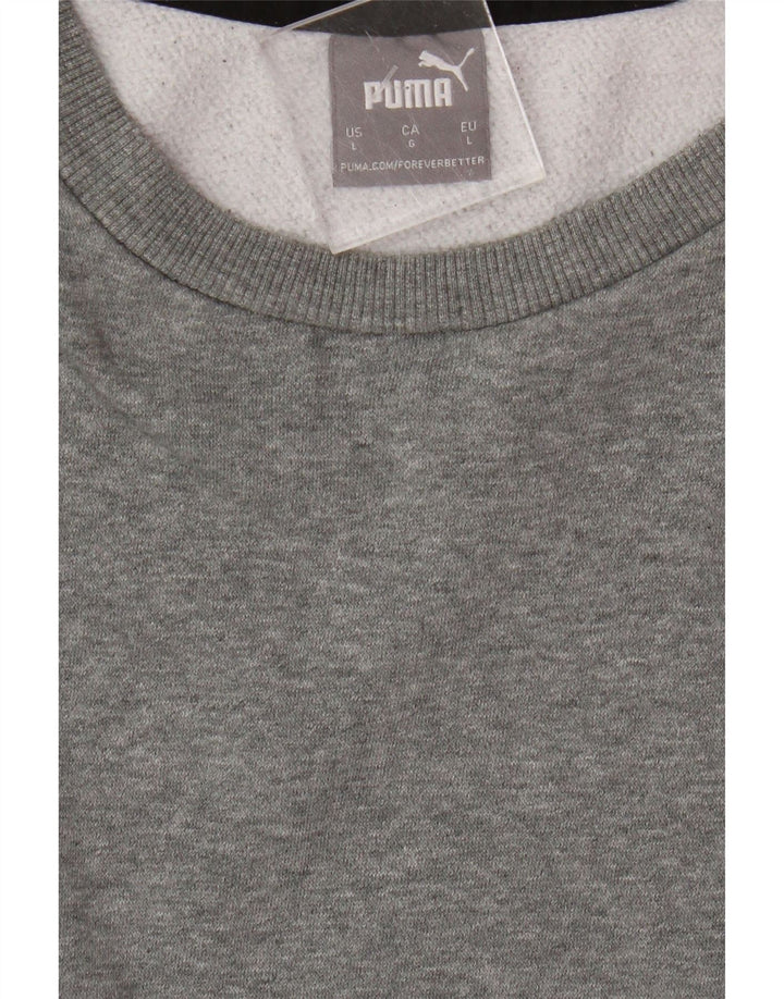 Puma Sudadera Gráfica Para Hombre Jumper Large Gris Colorblock