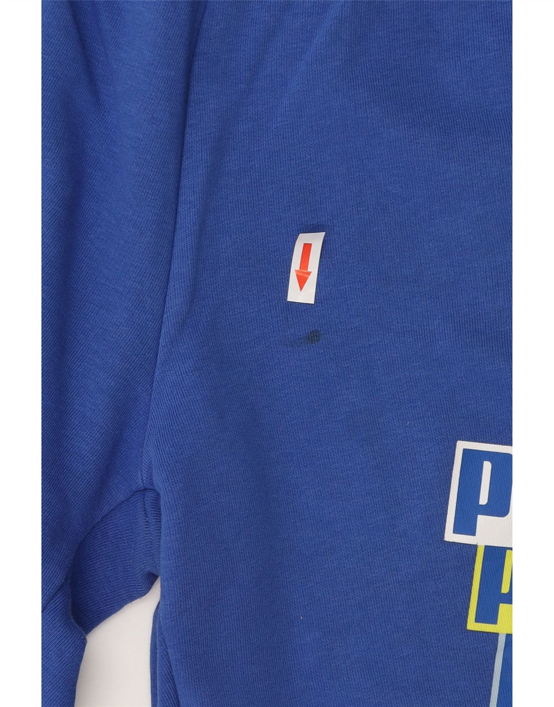 Puma Mens Graphic Sport Shorts Medium Blue Cotton