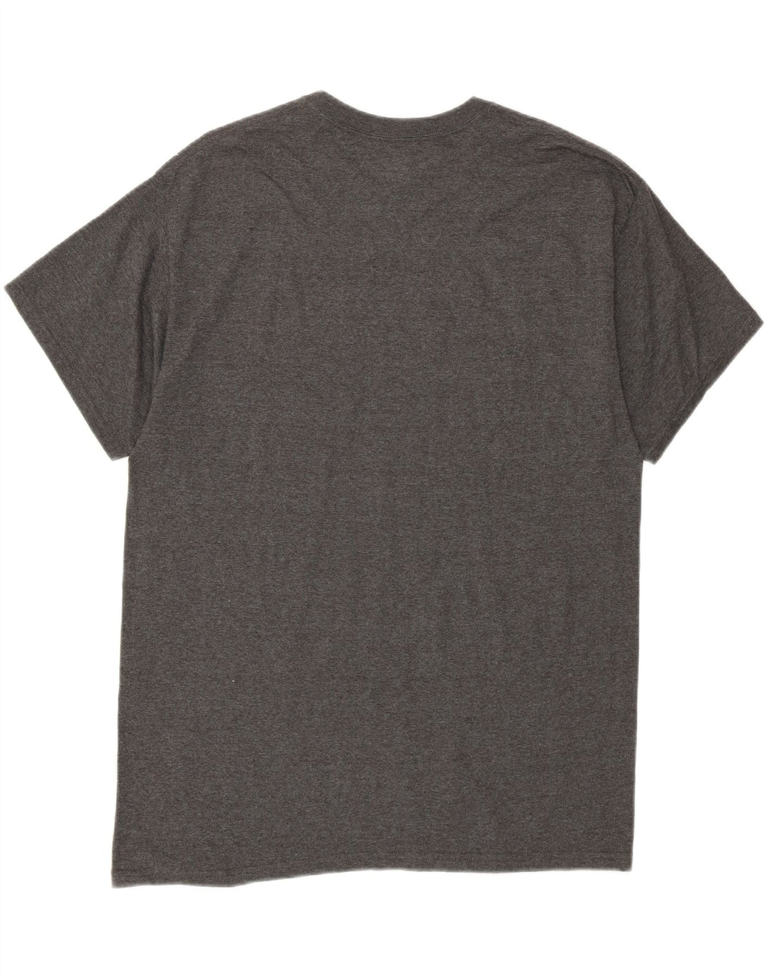 MAJESTIC Mens Graphic T-Shirt Top Large Grey Cotton Vintage Majestic and Second-Hand Majestic from Messina Hembry 