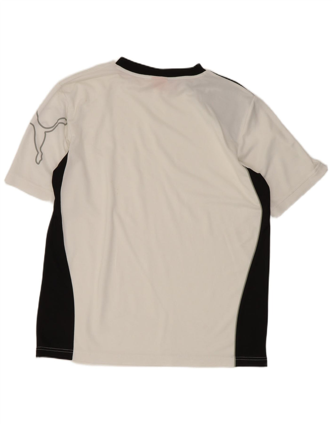 Ανδρικό γραφικό T-Shirt Puma Top Small White Colourblock