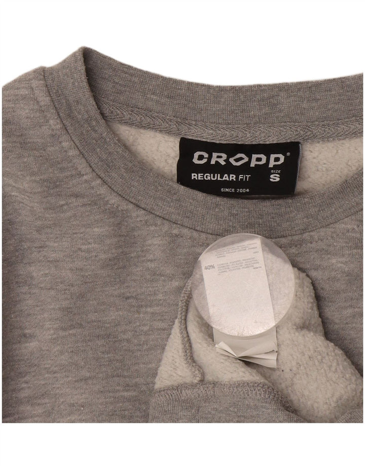 Cropp Herre grafisk Regular Fit Sweatshirt Jumper lille grå bomuld