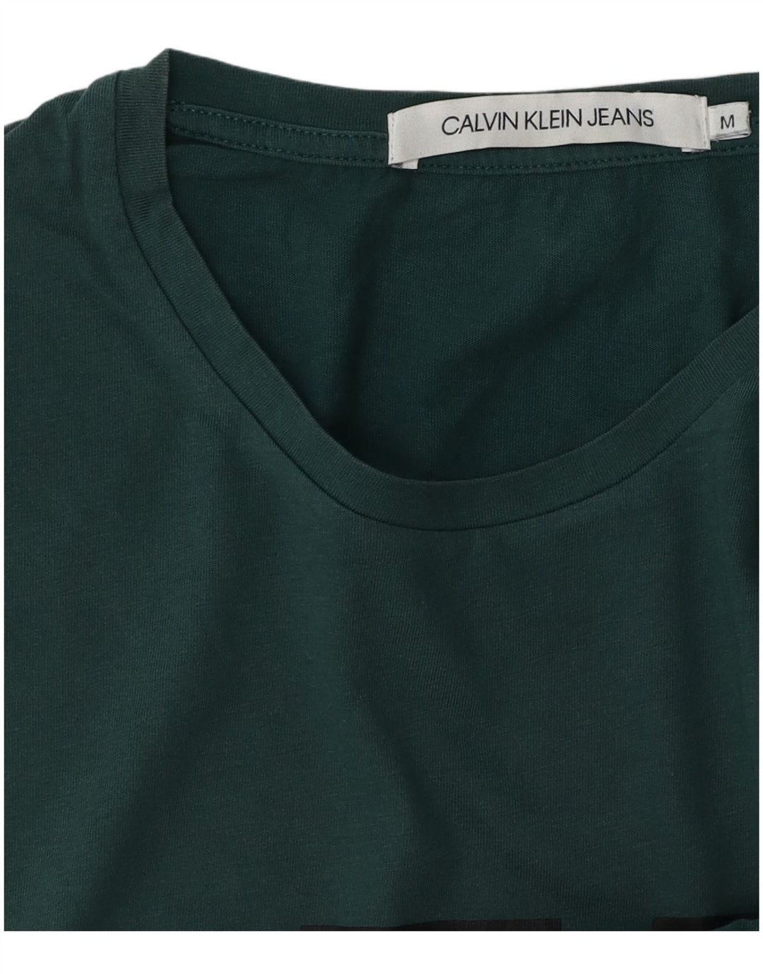 CALVIN KLEIN JEANS T-shirt grafica da uomo verde medio