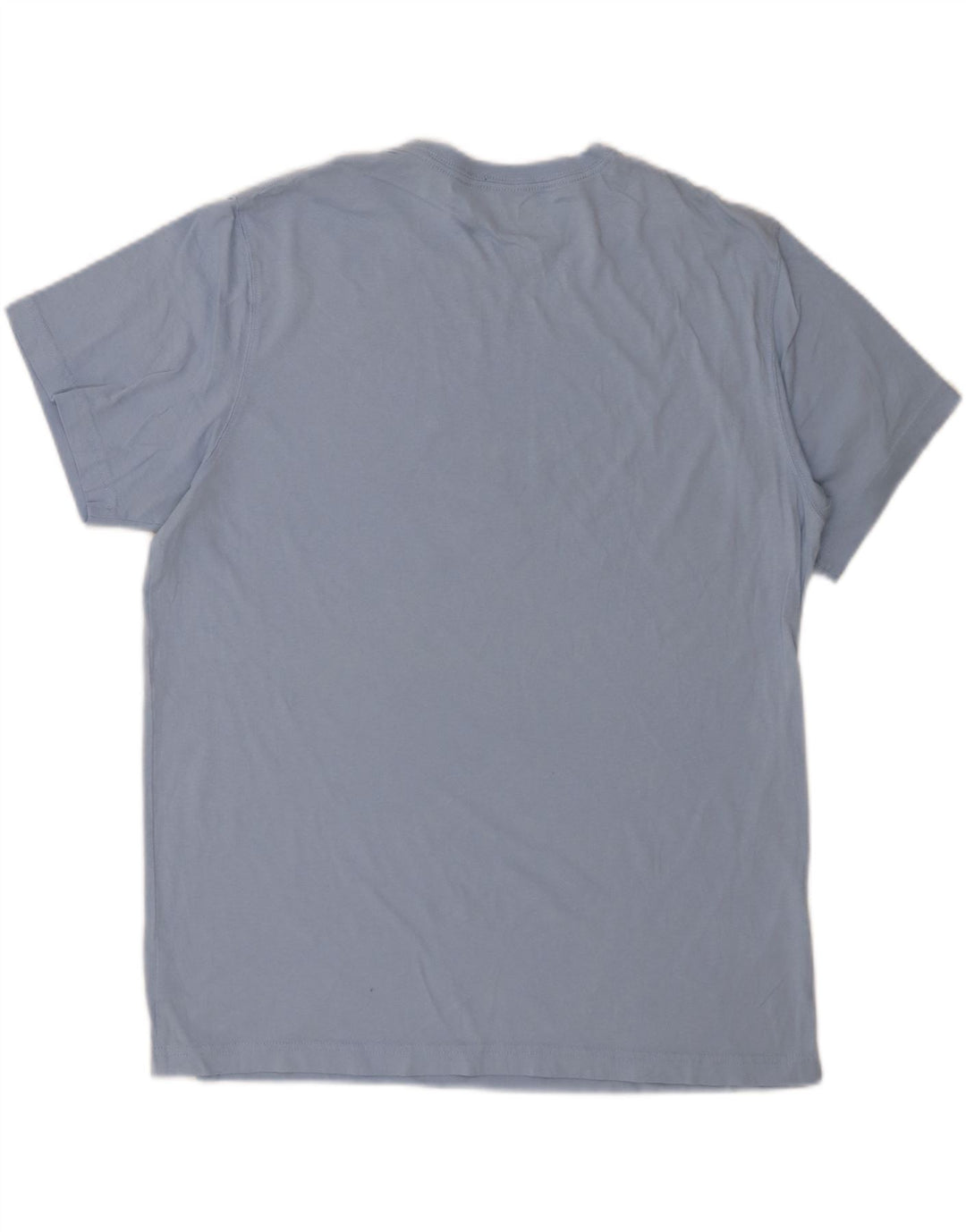 EDDIE BAUER Mens Graphic T-Shirt Top Large Blue Cotton Vintage Eddie Bauer and Second-Hand Eddie Bauer from Messina Hembry 