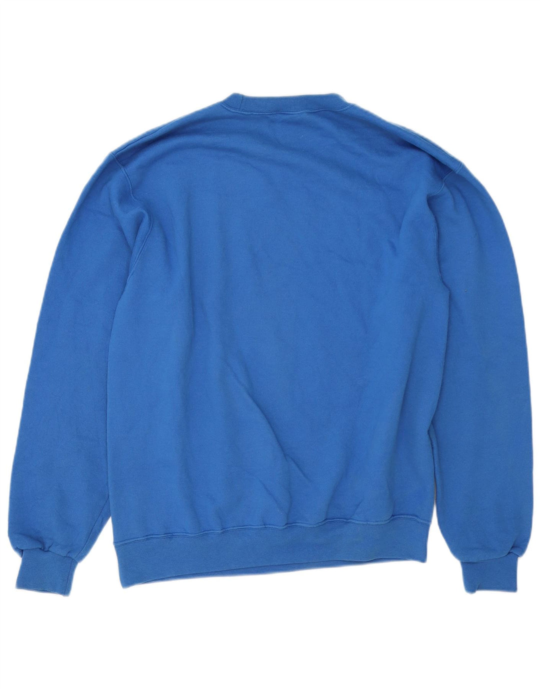 Champion Mens Sweatshirt Jumper Medium Blue Cotton