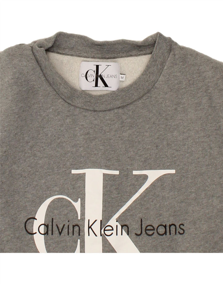 CALVIN KLEIN JEANS Womens Graphic Sweatshirt Jumper UK 14 Medium Grey Vintage Calvin Klein Jeans and Second-Hand Calvin Klein Jeans from Messina Hembry 