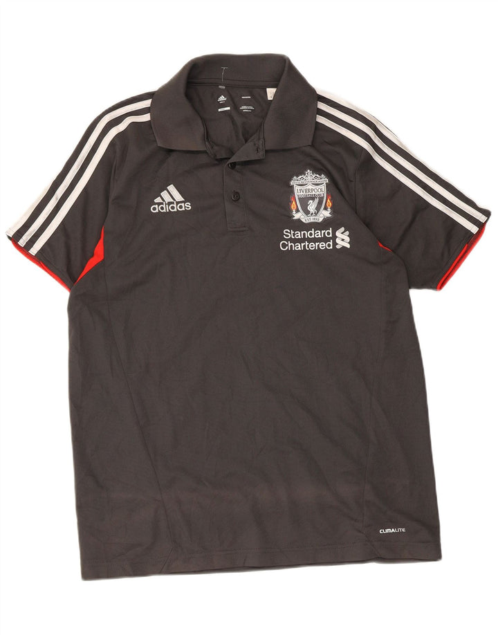 Adidas Mens Liverpool Graphic Polo Shirt Small Grey Colourblock Polyester
