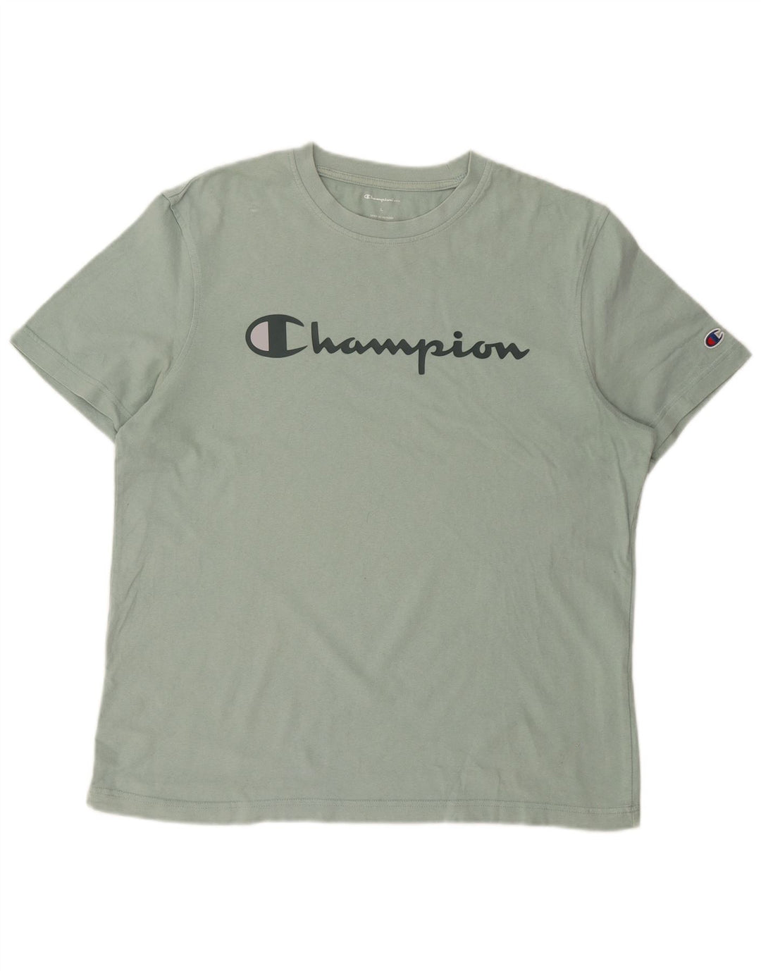 CHAMPION Mens Graphic T-Shirt Top Large Blue Cotton