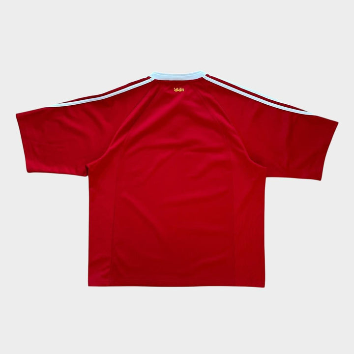 Maglia da rugby vintage dei Lions - XL