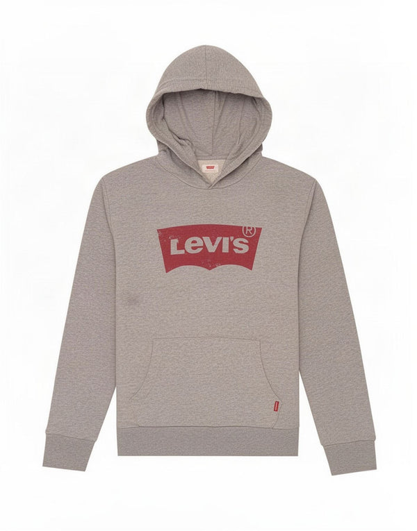 Maglione con cappuccio grafico da uomo Levi's in cotone chiazzato grigio medio