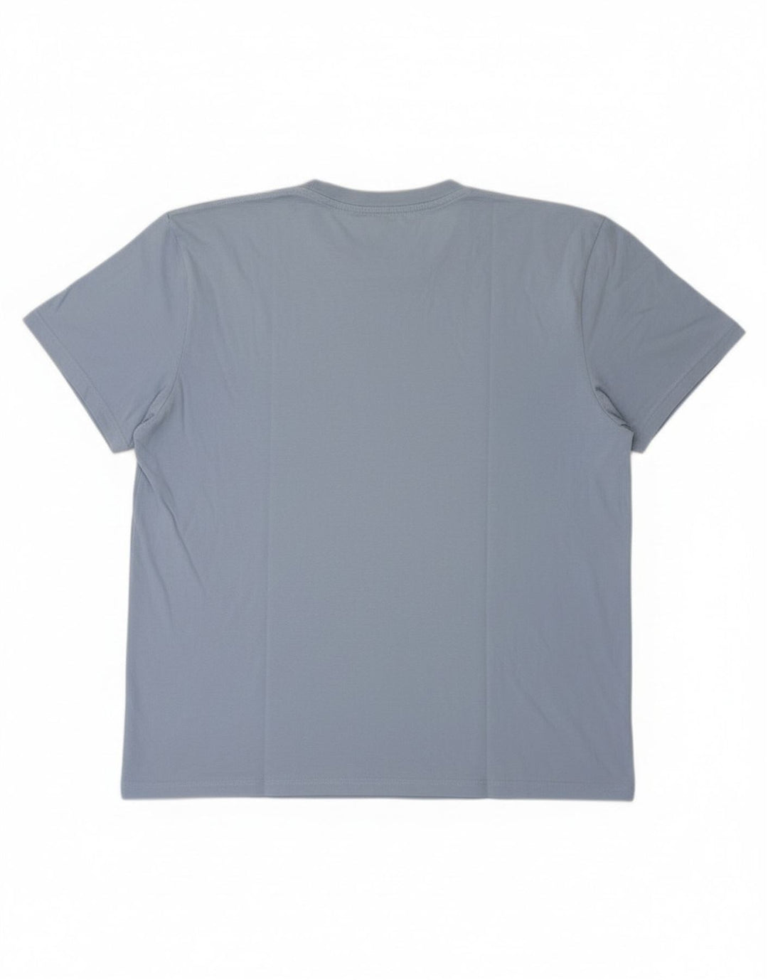 Champion Mens T-Shirt Top 2XL Blue Cotton