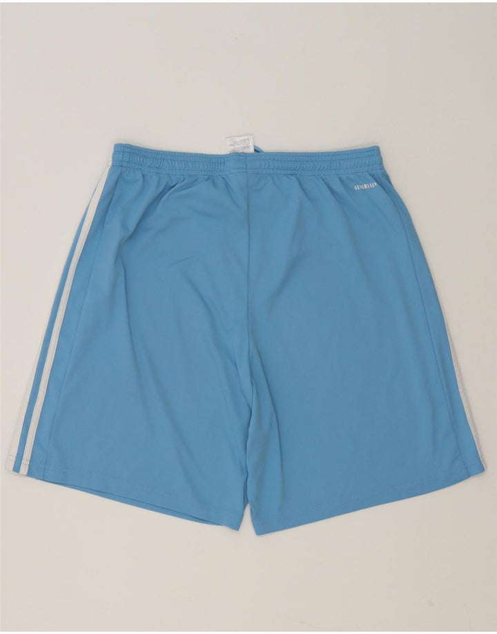 Adidas Mens Tsv Werdohl 1989 Graphic Sport Shorts Large Blue Polyester