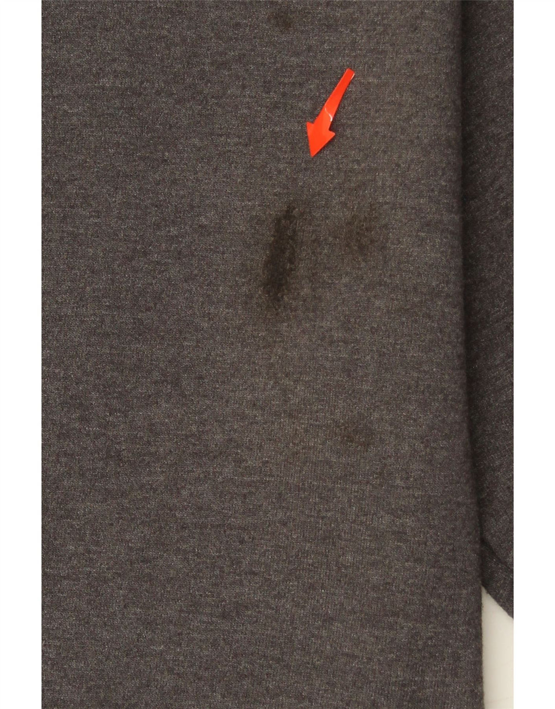 CHAMPION Mens Sweatshirt Jumper Small Grey Cotton Vintage Champion and Second-Hand Champion from Messina Hembry 