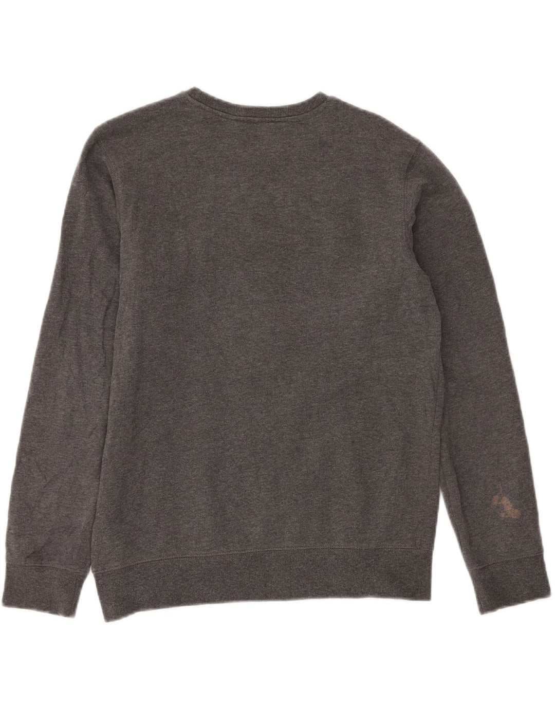 CHAMPION Womens Graphic Sweatshirt Jumper UK 18 XL Grey
