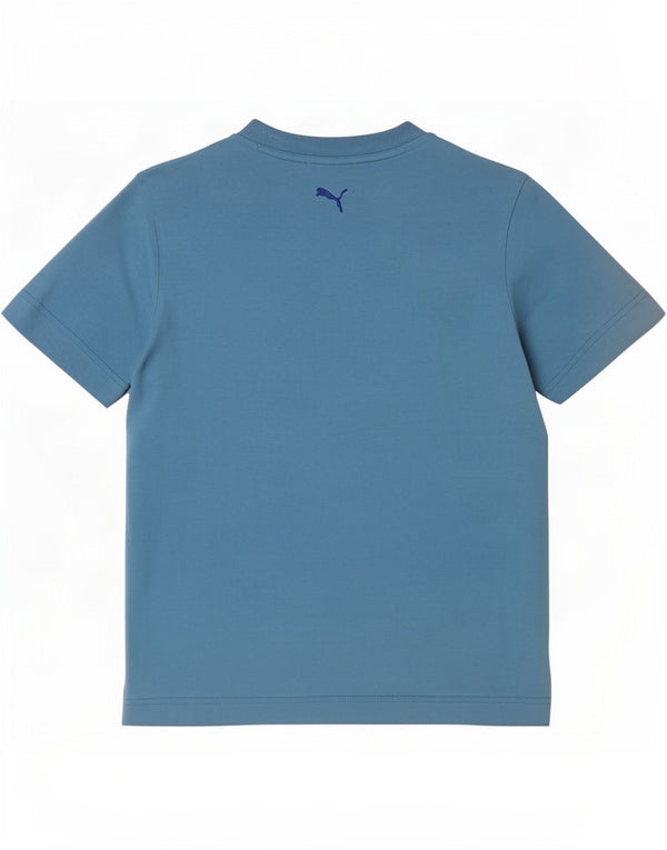 Puma T-shirt grafica da uomo Top Small Blu