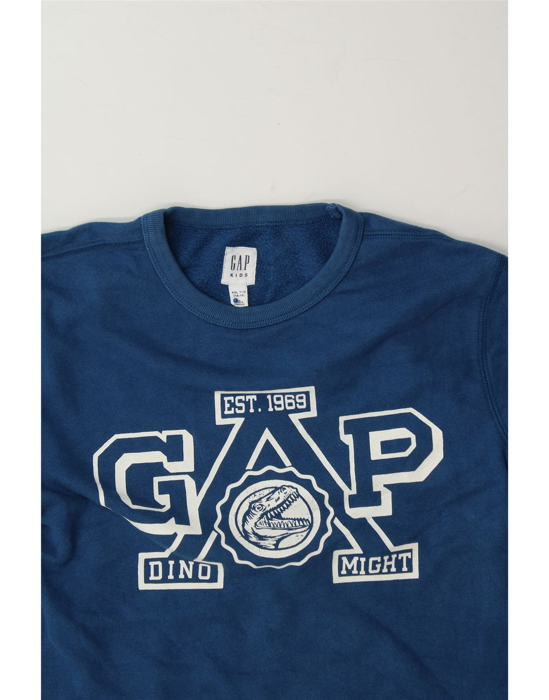 GAP Boys Graphic Sweatshirt Jumper 14-15 Years 2XL Blue Cotton Vintage Gap and Second-Hand Gap from Messina Hembry 