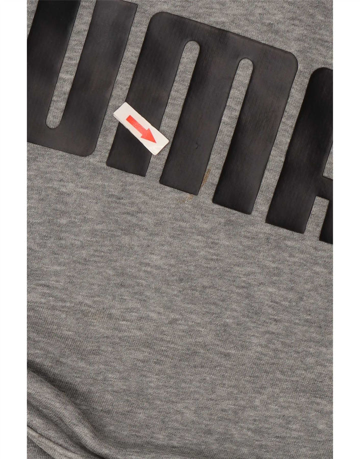 Puma Mens Graphic Hoodie Jumper Pequeno Cinza