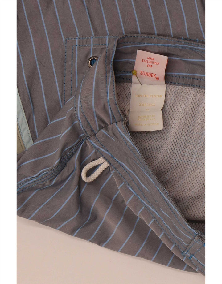 Sundek Herre badeshorts Large Grå Nålestribet Polyester