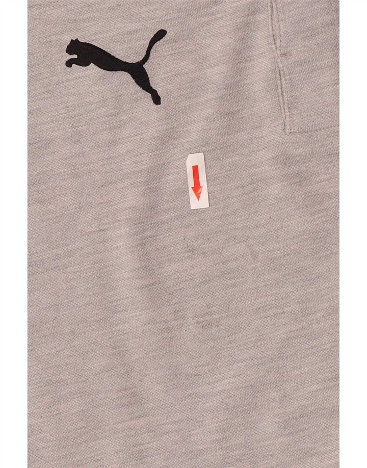 Puma Mens Graphic T-Shirt Top Medium Grey Colourblock Cotton