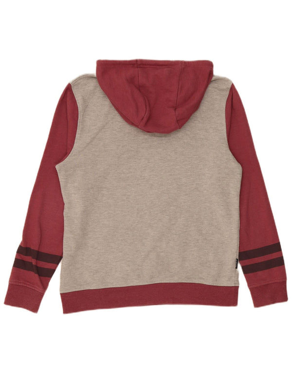 Felpa con cappuccio da uomo Animal Small in cotone color block grigio