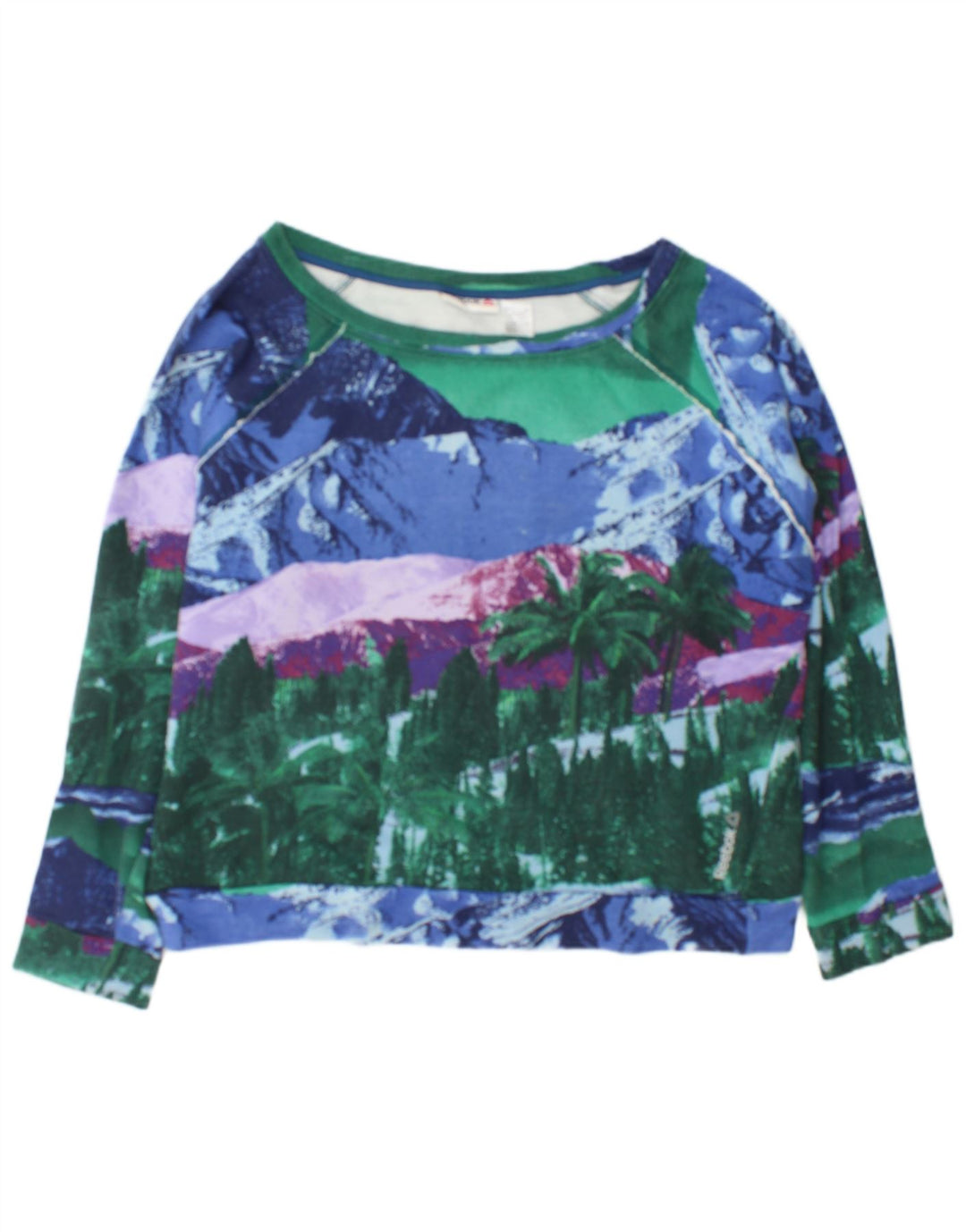 Reebok Womens Graphic Sweatshirt Jumper UK 16/18 Large Multicoloured