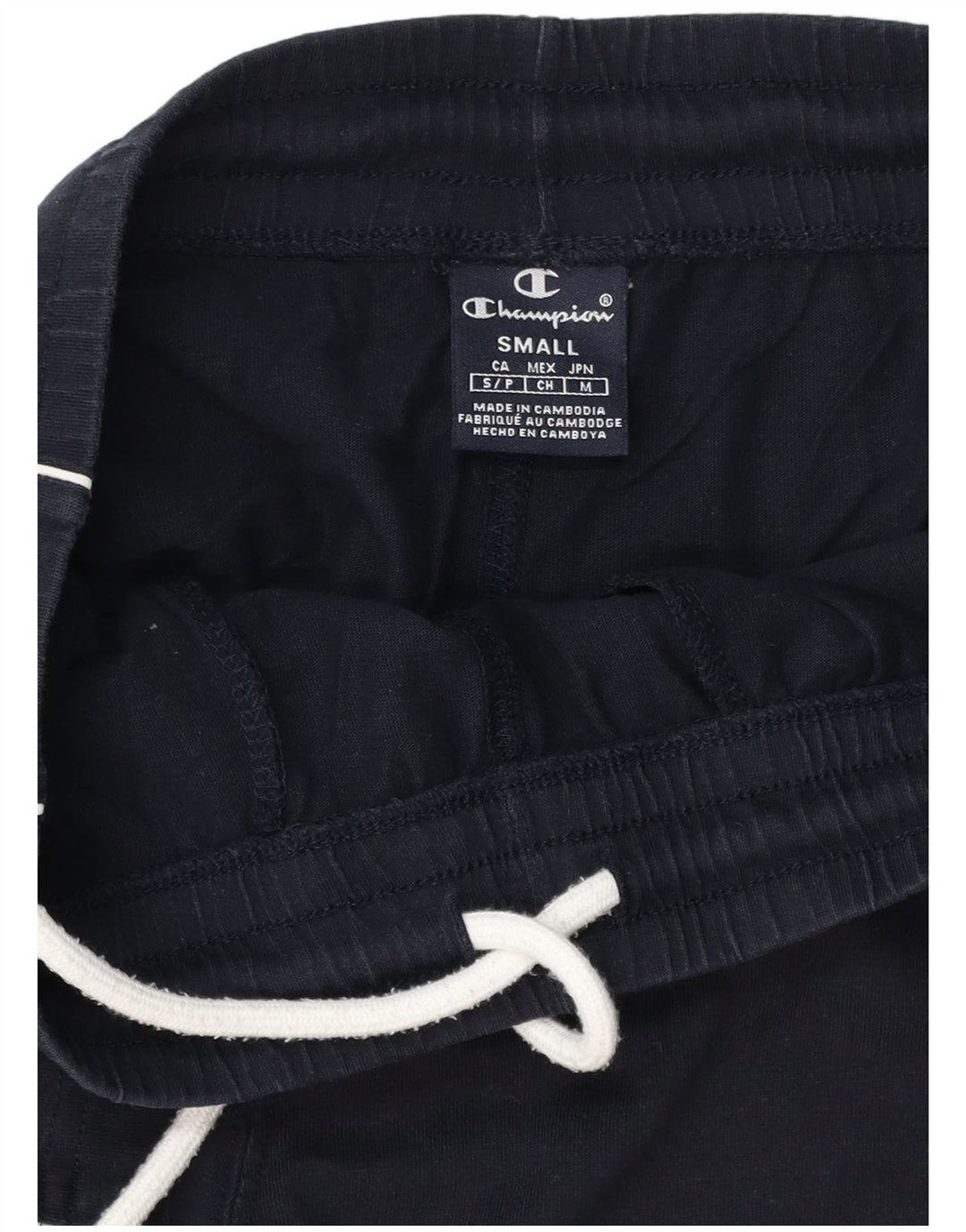 CHAMPION Mens Graphic Sport Shorts Small  Navy Blue
