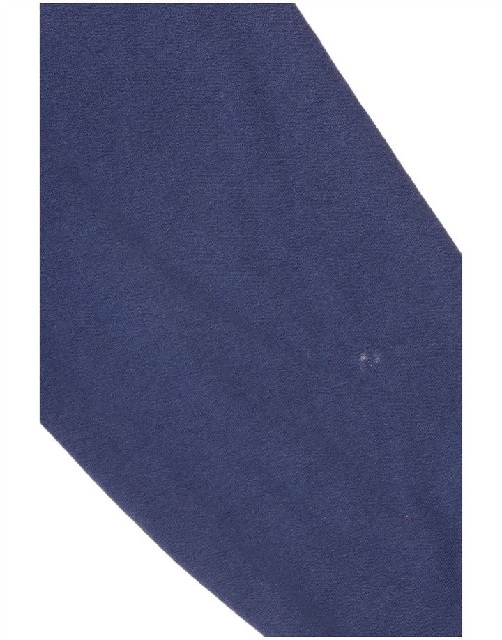 Champion Mens Wheaton Graphic Hoodie Jumper Small Blue